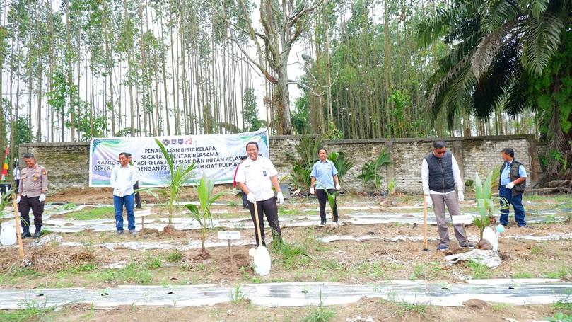 penanaman kelapa imigrasi siak1